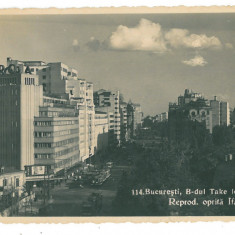 1825 - BUCURESTI, Ave. take Ionescu, Romania - old postcard, real Photo - unused