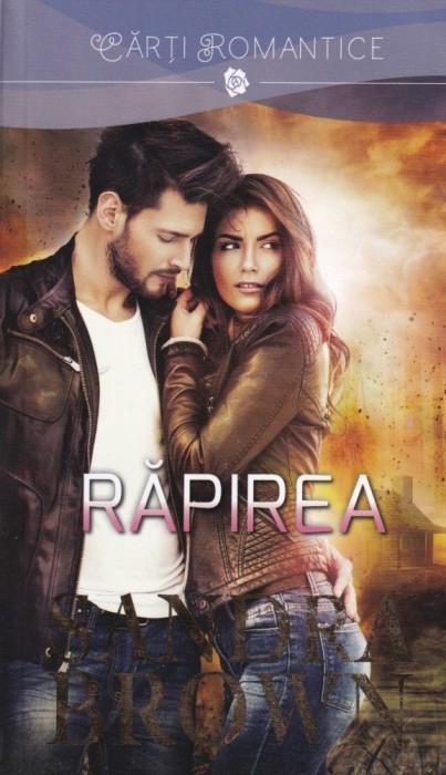 Sandra Brown - Rapirea