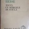 JOCUL CU MARGELELE DE STICLA-HERMANN HESSE-260373
