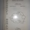 Sorina Vlad, Radu Sageata, Sorin Geacu - Geografi Romani (2000, Editura Semne)