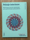 Psihanaliza | Corneliu Irimia - Peisaje interioare