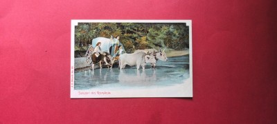 Prahova Urlati Urlatzi Salutari Romania Port popular Port national foto