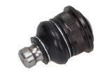 Pivot RENAULT CLIO III Grandtour (KR0/1_) (2007 - Prezent) MAXGEAR 72-0423