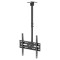 M&acirc;ner plafon TV reglabil 50kg