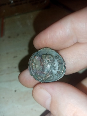 Lot 3 monede autentice Imperiul roman, antoninianus, imp. Probus, 276-282 e.n foto
