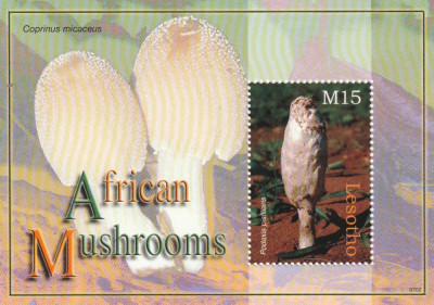 Lesotho 2007-Flora,Ciuperci,colita dantelata,MNH,Mi.Bl.655 foto