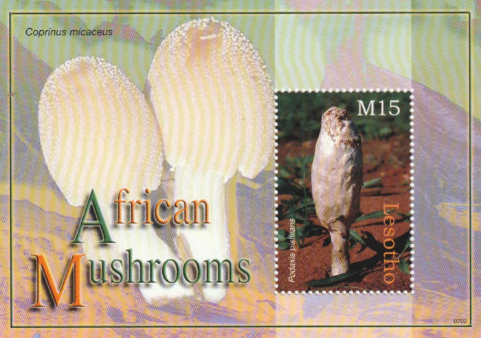 Lesotho 2007-Flora,Ciuperci,colita dantelata,MNH,Mi.Bl.655