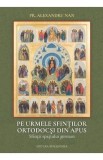 Pe urmele sfintilor ortodocsi din Apus. Sfintii spatiului german - Pr. Alexandru Nan