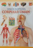 Enciclopedia corpului uman - Carti de referinta