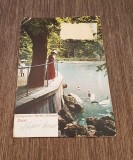 Elveția Carte Poștală Veche &ndash; Grădina Zoologică Basel, Lebede pe Lac, Ștampilă Elveția
