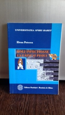BOLI INFECTIOASE LA CAINI SI PISICI - ELENA POTECEA foto