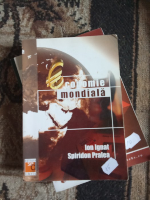 Economia mondiala Ion Ignat