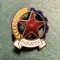 Insigna Inovator Romania