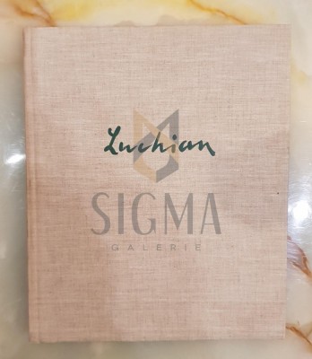 STEFAN LUCHIAN foto