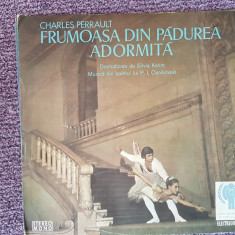 Frumoasa din padurea adormita, Charles Perrault, disc vinil