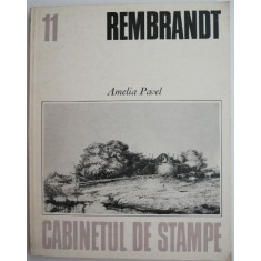 Rembrandt &ndash; Amelia Pavel