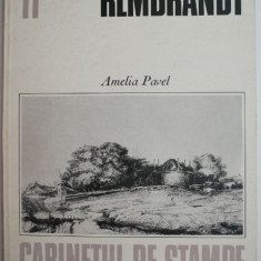 Rembrandt – Amelia Pavel