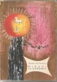 (H01)-IOANA PETRESCU-Minuni la Maglavit cu ilustratii de Sabin Balasa