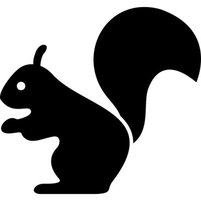 test rida foto