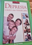 Depresia calea spre vindecare Dr Neil Nedey