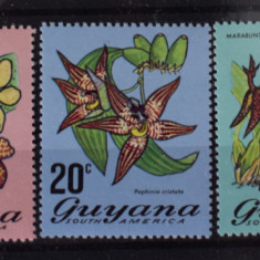 TS24/01 Timbre Serie Guyana - Nestampilat Flori