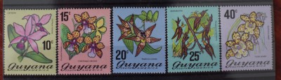 TS24/01 Timbre Serie Guyana - Nestampilat Flori foto
