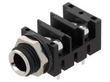Soclu Jack 6,3mm Mono cu &Icirc;ntrerupător Dublu