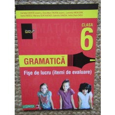 GRAMATICA CLASA 6 FISE DE LUCRU ( ITEMI DE EVALUARE)