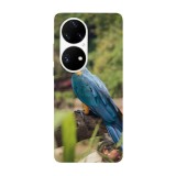 Husa compatibila cu Huawei Nova Y70 model Blue and gold Macaw, Silicon, TPU, Viceversa, Transparent, Carcasa
