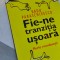 FIE-NE TRANZITIA USOARA RADU PARASCHIVESCU
