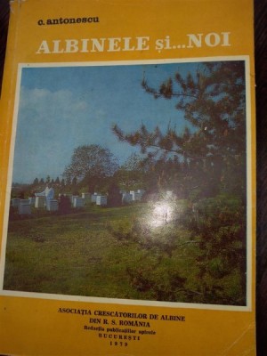 ALBINELE SI NOI - C. ANTONESCU foto