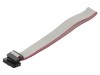 Cablu Panglică IDC 1mm 0.3m