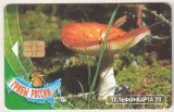 bnk card Cartele telefonice - Rusia - Moscova - MGTS - Ciuperci - Mushrooms of Russia - Russule