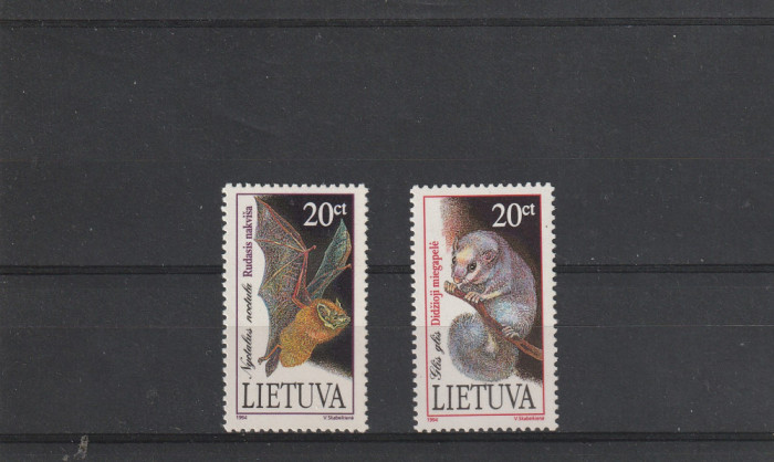 Fauna ,lilieci,Lituania.