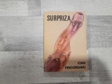 Surpriza de Ioan Prigoreanu