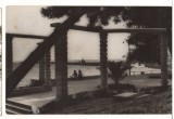 CPIB 22591 - CARTE POSTAL - CONSTANTA. FALEZA, RPR, 1958