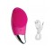 Perie sonica pentru curatarea tenului si masaj facial, cablu USB, 4 viteze ajustabile, impermeabil, 13.5 x 5.5 x 2.5 cm
