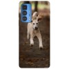 Husa compatibila cu Motorola Edge 20 model Happiness in wilderness, Silicon, TPU, Viceversa, Transparent, Carcasa