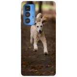 Husa compatibila cu Motorola Edge 20 Lite model Happiness in wilderness, Silicon, TPU, Viceversa, Transparent, Carcasa