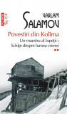 Un maestru al lopeții &bull; Schițe despre lumea crimei. Povestiri din Kol&icirc;ma (Vol. 2) - Paperback brosat - Varlam Şalamov - Polirom