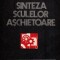 Vitalie Belous - Sinteza sculelor așchietoare
