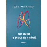 MIC TRATAT LA CHIPUL DIN OGLINDA (POEZII)-IOAN V. MAFTEI-BUHAIESTI-234915