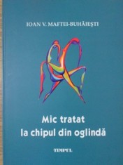 MIC TRATAT LA CHIPUL DIN OGLINDA (POEZII)-IOAN V. MAFTEI-BUHAIESTI-234915