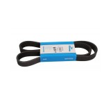 Curea Transmisie Caneluri Jaguar XK8 (X100) 1996-2005, 8DPK1355