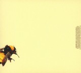 Flower Boy | Tyler The Creator, Columbia Records