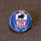 Insigna fotbal - CSO &quot;RETEZATUL&quot; HATEG (aniversare 75 ani 1946/2021)