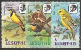 Lesotho &ndash; Lot 3 timbre Faună &ndash; Păsări africane, ștampilate -A80