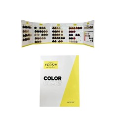 Catalog culori vopsea Yellow 2025