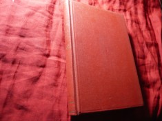 Lucio D'Ambra - Meseria de sot - Ed. Cugetarea 1945 trad. M.Ionescu ,304pag