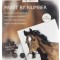 Set creativ, Pictura pe numere cu 9 culori acrilice incluse, model cal, Nassau